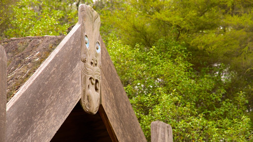 Wairakei showing indigenous culture