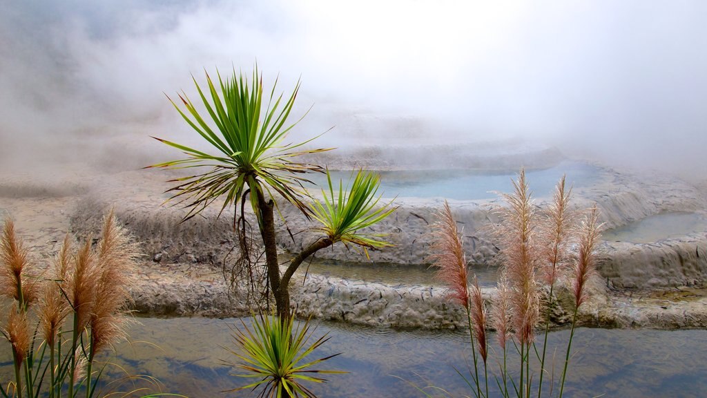 Wairakei mettant en vedette une source chaude