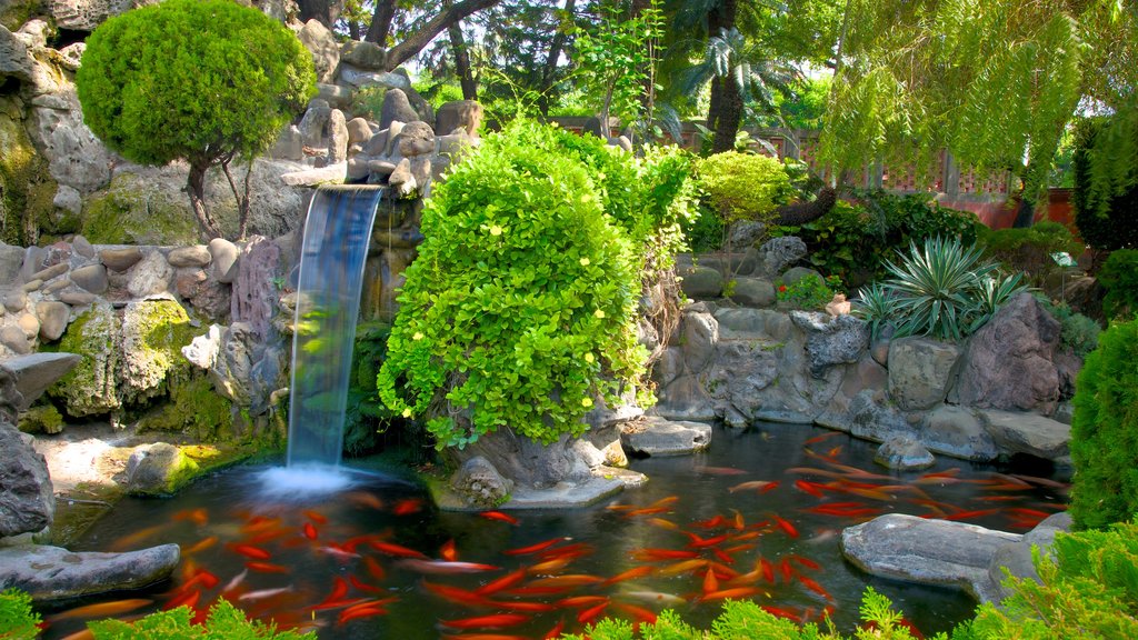 Chihkan Tower featuring animals and a pond