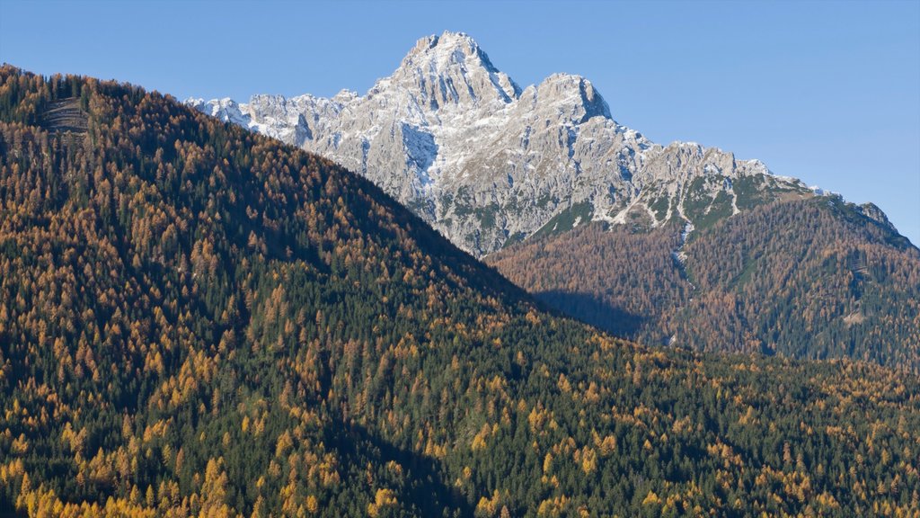 Alto Adige - South Tyrol which includes forests and mountains