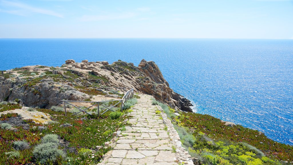 Isola del Giglio showing general coastal views