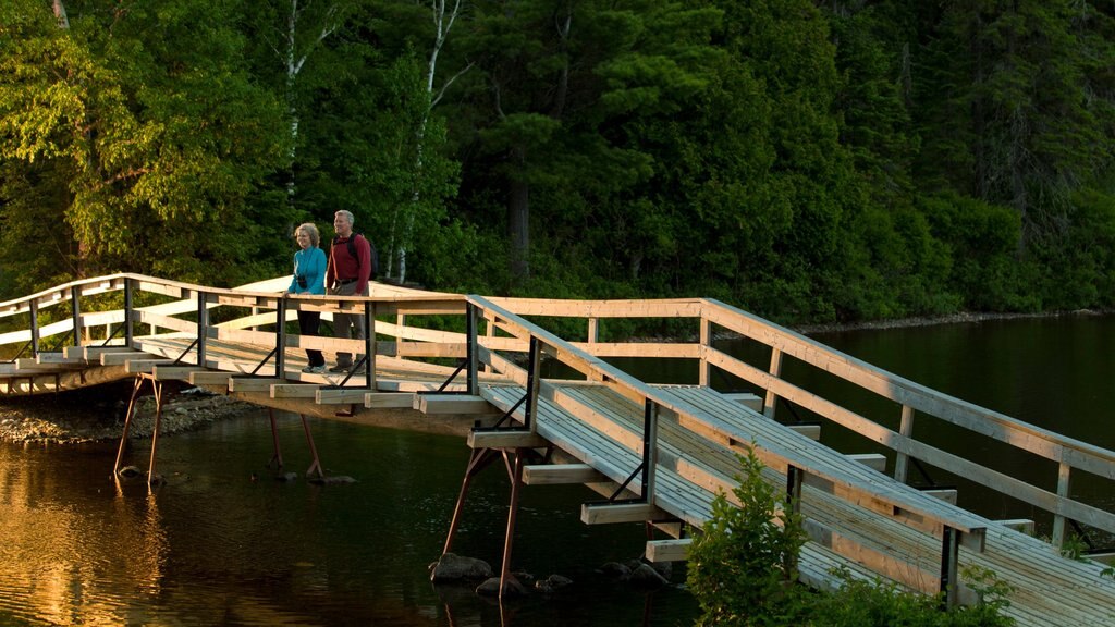 Bathurst som omfatter en flod eller et vandløb og en bro såvel som et par