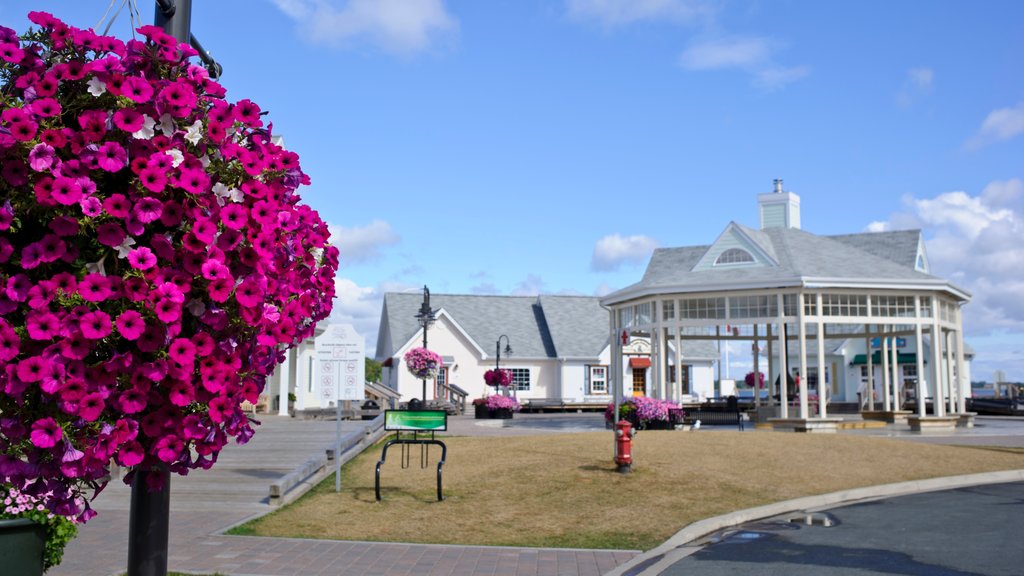 Bathurst som inkluderar blommor