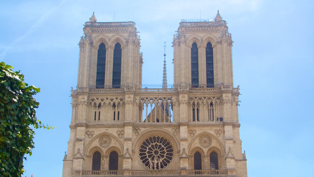 Île de la Cité que incluye patrimonio de arquitectura, una iglesia o catedral y elementos del patrimonio