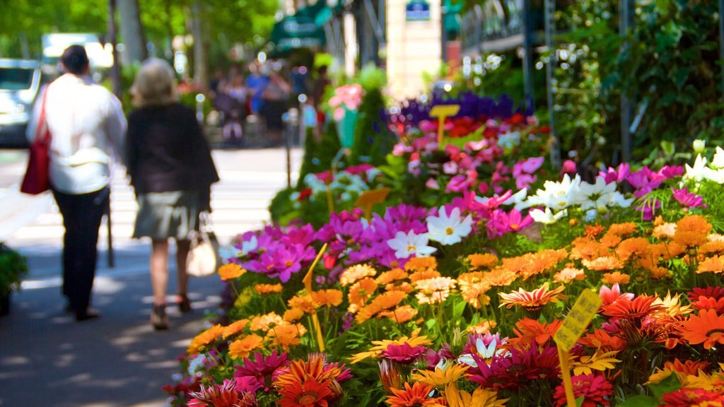 Île de la Cité toont bloemen