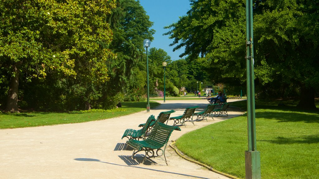 Champs Élysées mostrando um jardim