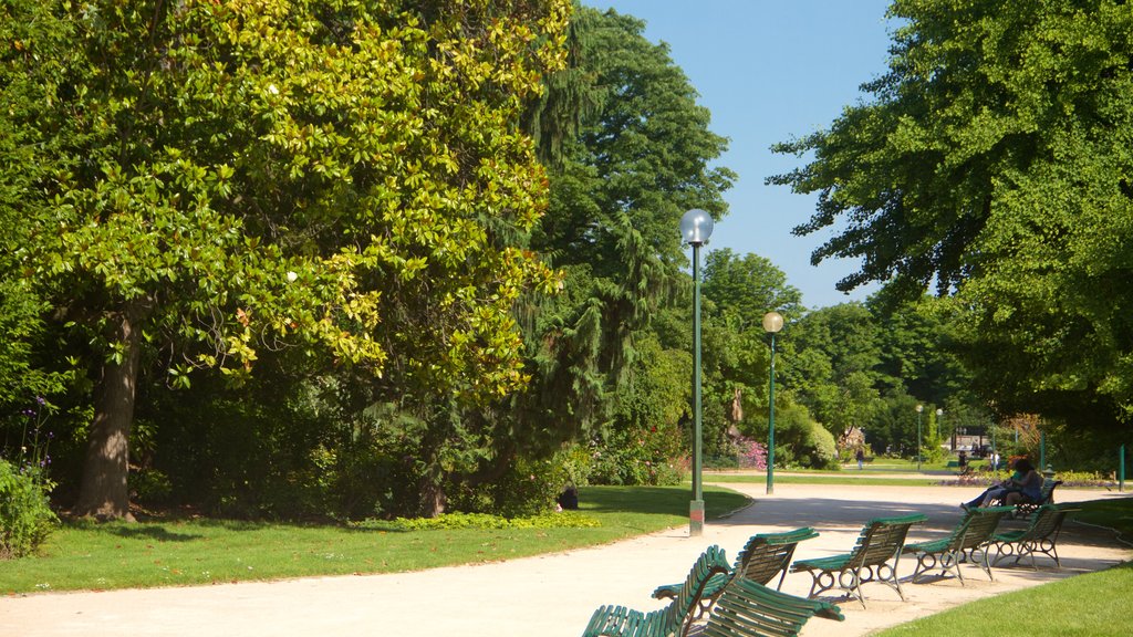 Champs-Elysees featuring a park