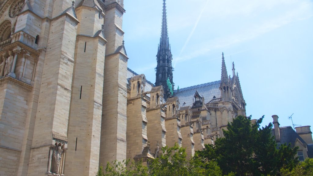 Notre-Dame-kathedraal toont historisch erfgoed, historische architectuur en een kerk of kathedraal