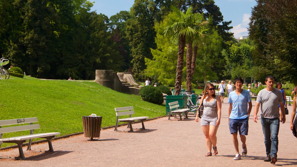 Jardines de L\'Orangerie mostrando un parque y también un pequeño grupo de personas