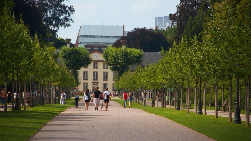 Jardin de l’Orangerie mostrando parco