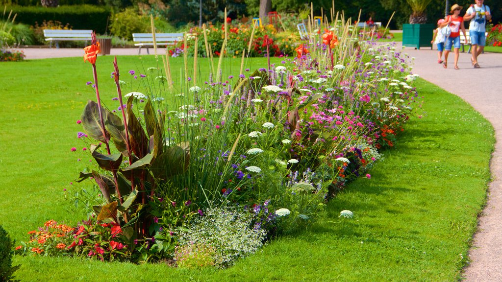 Parc de L\'Orangerie which includes a garden and flowers