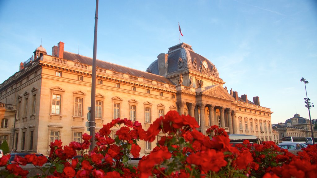 Paris showing heritage elements, heritage architecture and flowers