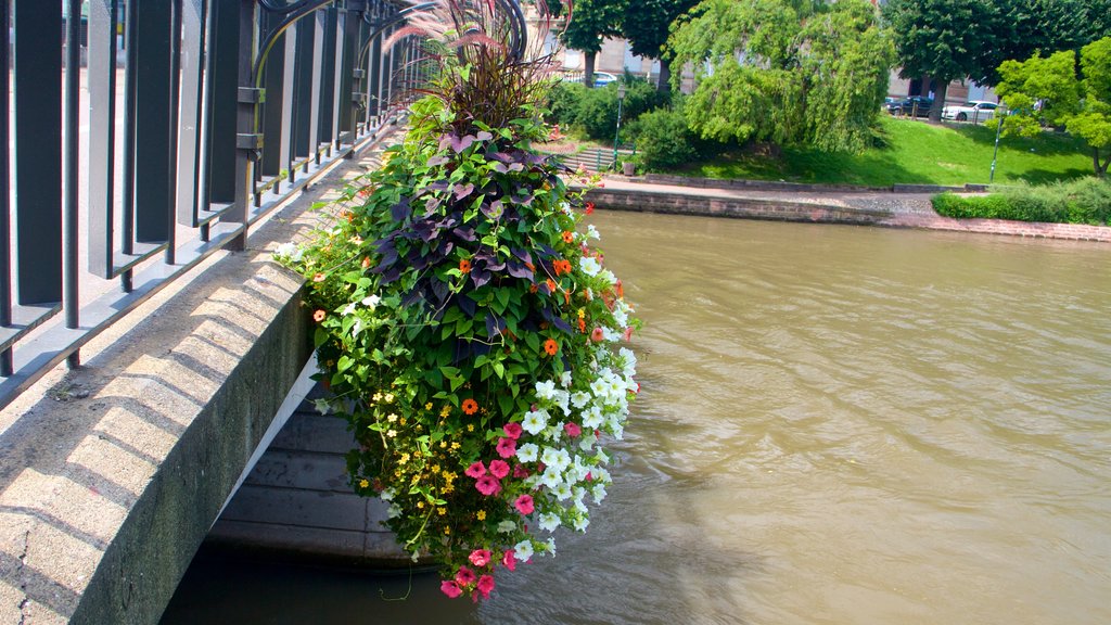 Barrio europeo que incluye un río o arroyo y flores