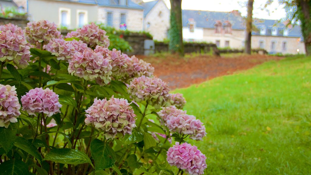 Combourg som inkluderer hage og blomster