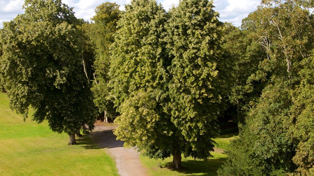 Combourg featuring a garden