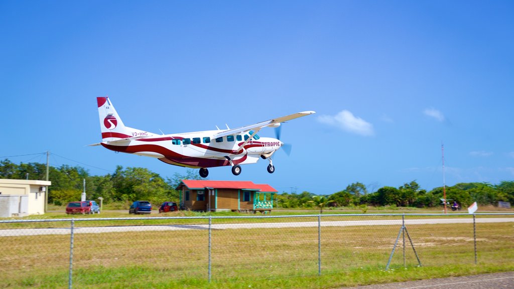 Playa de Placencia que incluye aeronave y un aeropuerto