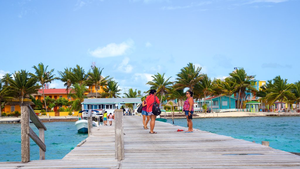 Caye Caulker showing general coastal views