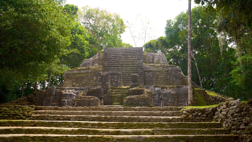 Lamanai que incluye cultura indígena y elementos del patrimonio