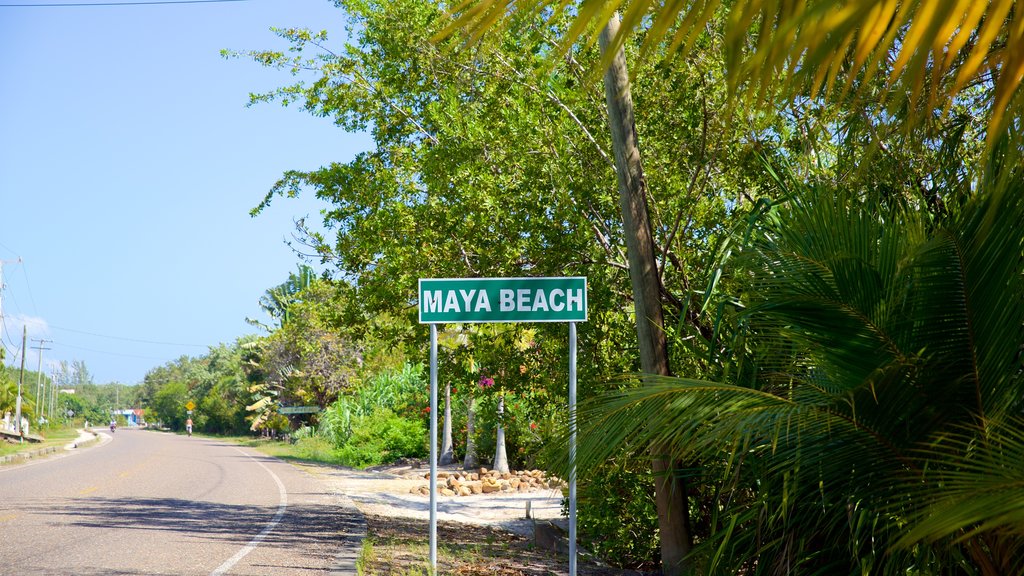 Maya-stranden