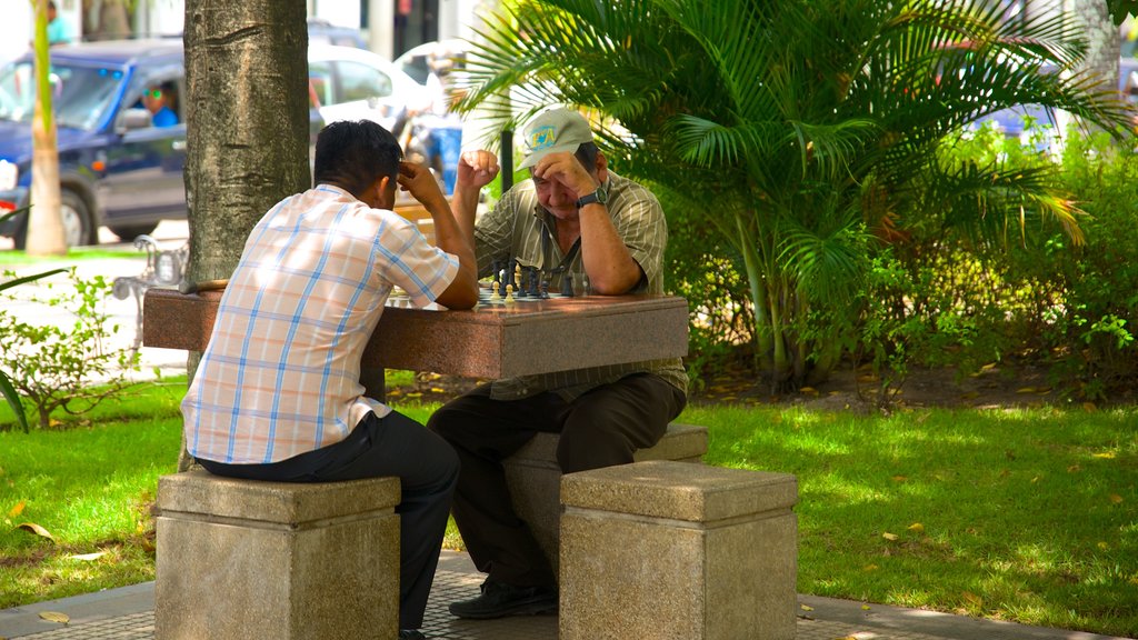 Plaza 24 de Septiembre featuring a garden as well as a small group of people