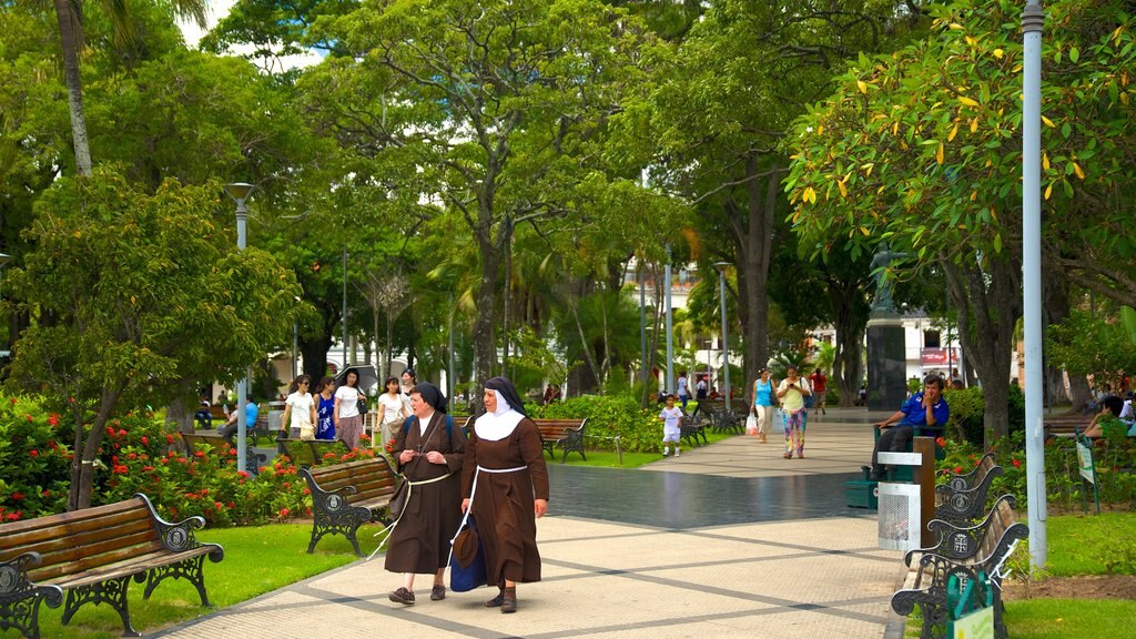 Plaza 24 de Septiembre featuring a garden