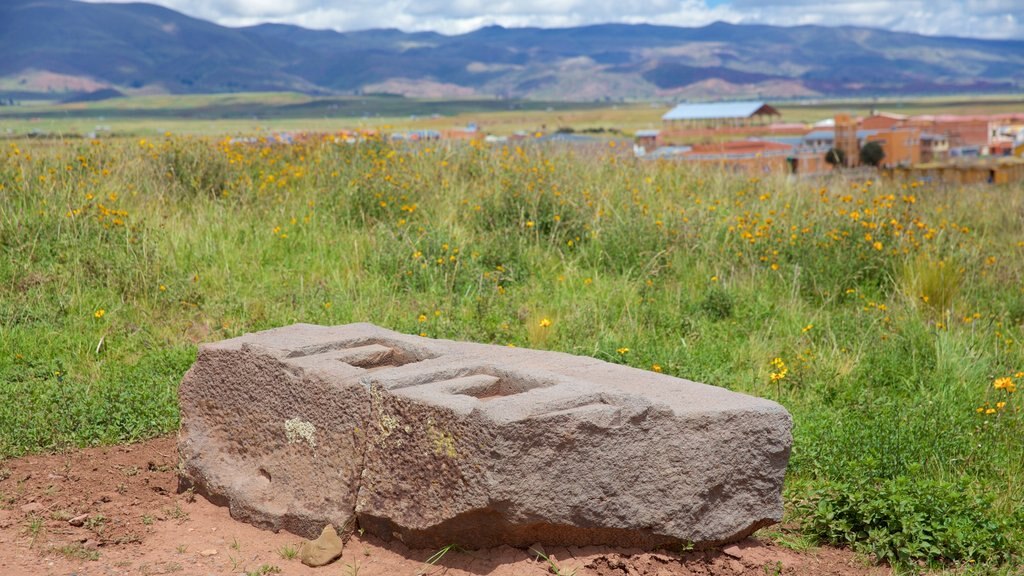 Tiwanaku toont vredige uitzichten