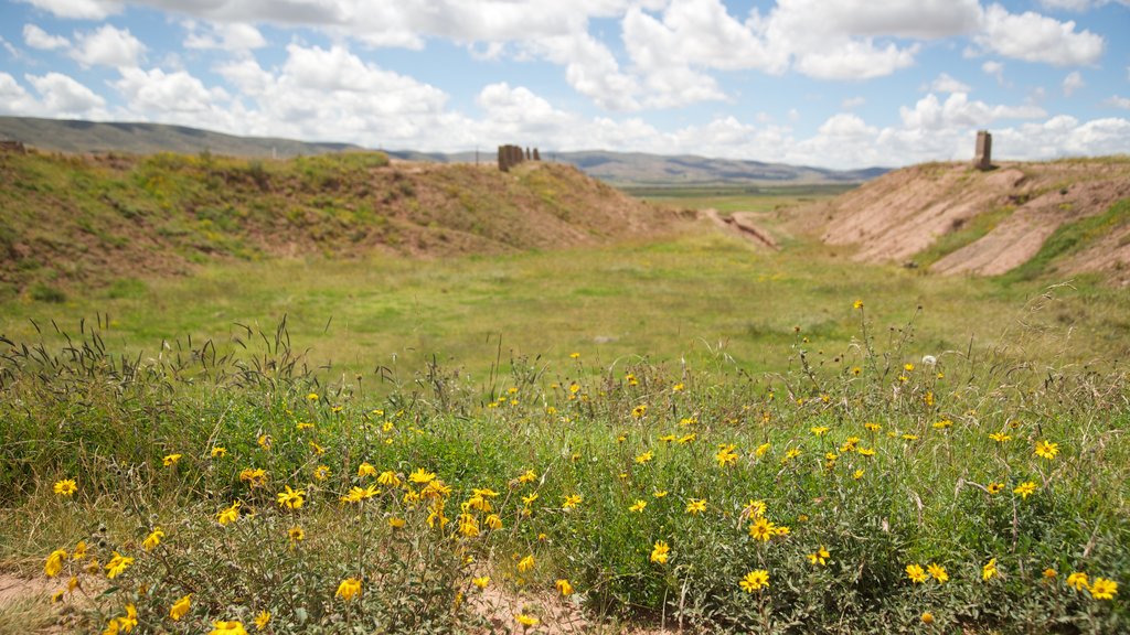 Tiwanaku mostrando cenas tranquilas