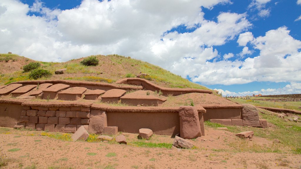 Tiahuanaco ofreciendo elementos del patrimonio y escenas tranquilas