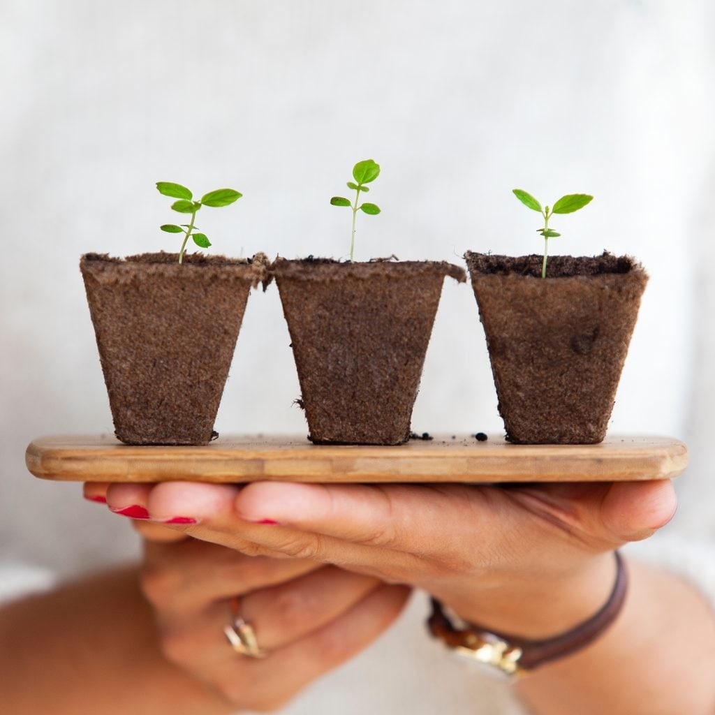ecologie responsable lagom