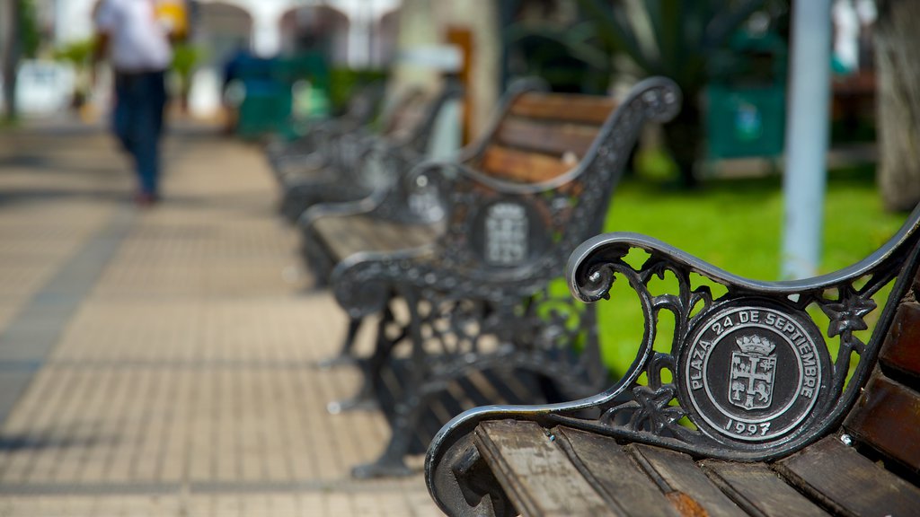 Plaza 24 de Septiembre showing a park