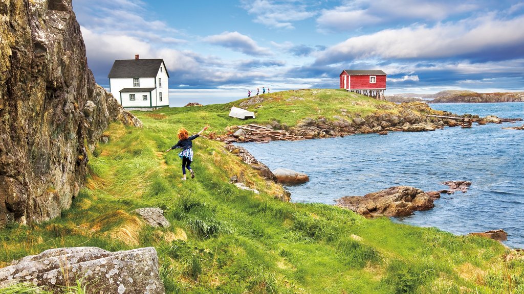 Newfoundland och Labrador som visar kustutsikter såväl som en kvinna