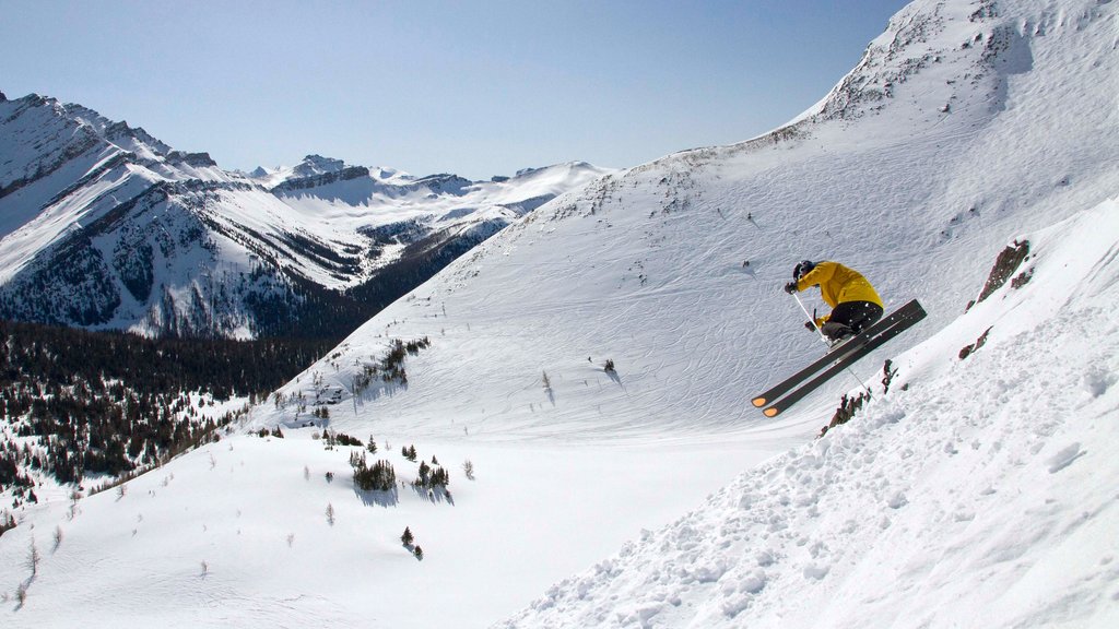 Lake Louise Mountain Resort showing snow skiing, snow and mountains