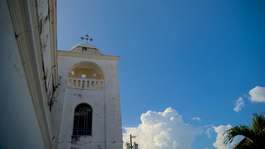 Cathedral de Flores showing a church or cathedral