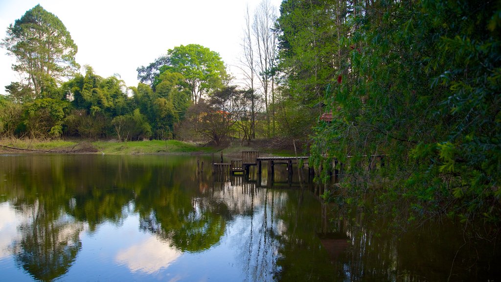 Parque Nacional Las Victorias ofreciendo bosques y un lago o espejo de agua