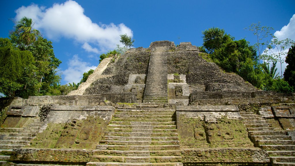 Lamanai ofreciendo elementos del patrimonio y un monumento