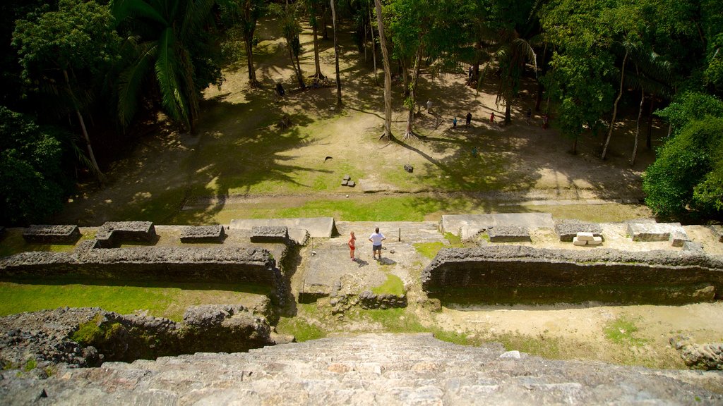 Lamanai which includes forests and heritage elements