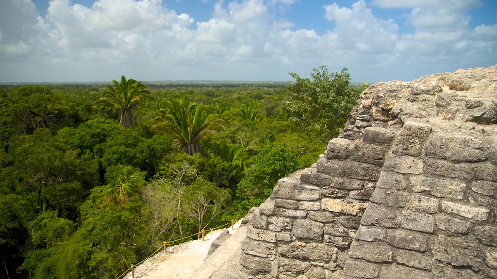 Lamanai ofreciendo bosques, un monumento y elementos del patrimonio