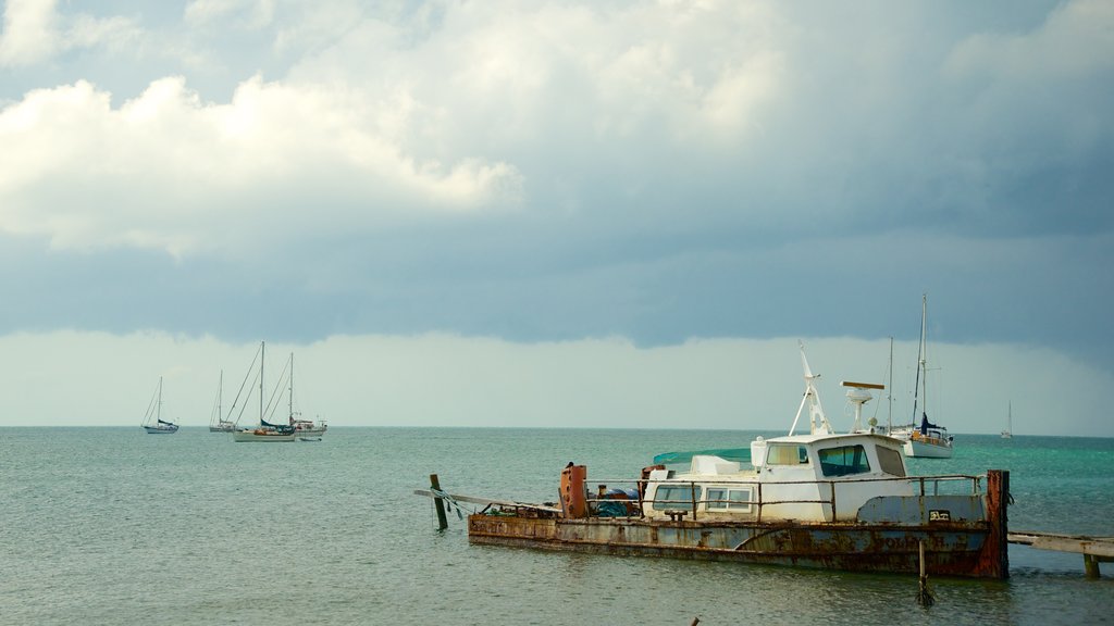 Placencia Beach inclusief algemene kustgezichten en een baai of haven