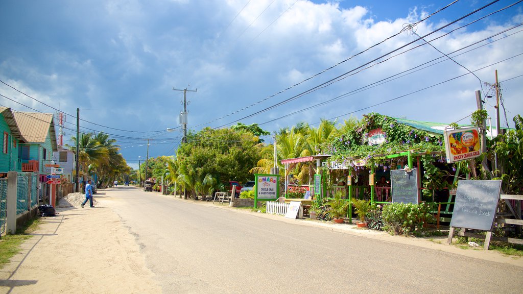 Placencia Beach showing a small town or village