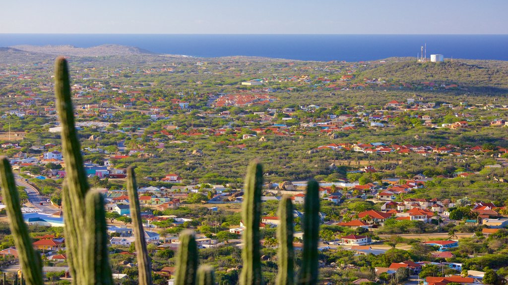 Monte Hooiberg que incluye vistas de paisajes y vistas generales de la costa