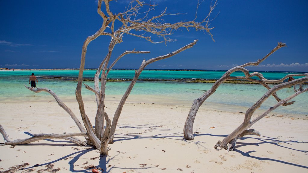 Baby Beach som inkluderar en sandstrand