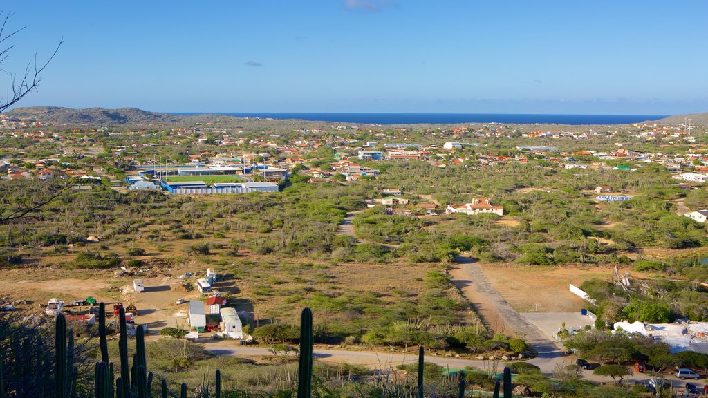 Monte Hooiberg ofreciendo una pequeña ciudad o pueblo y vistas generales de la costa