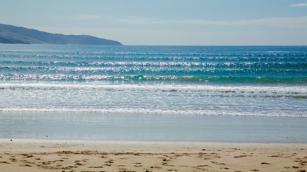 Apollo Bay showing a sandy beach