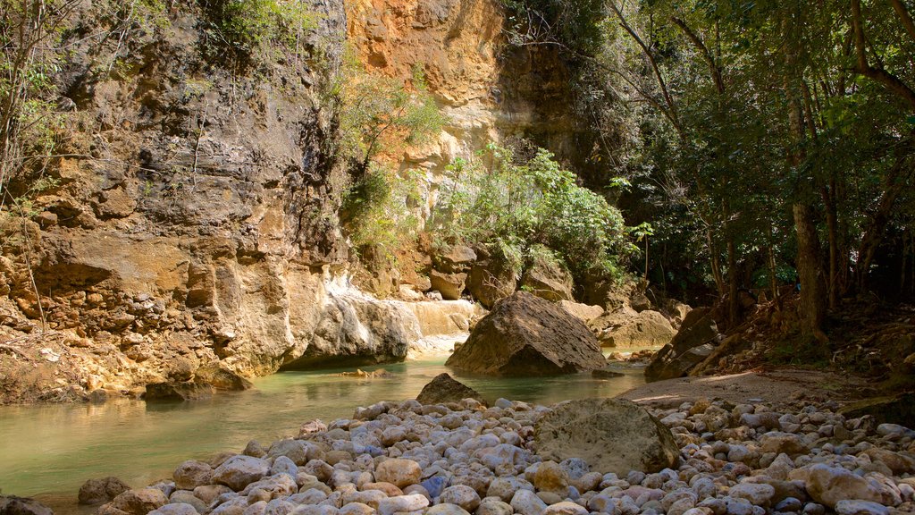 El Salto del Limon caracterizando um desfiladeiro ou canyon e um rio ou córrego