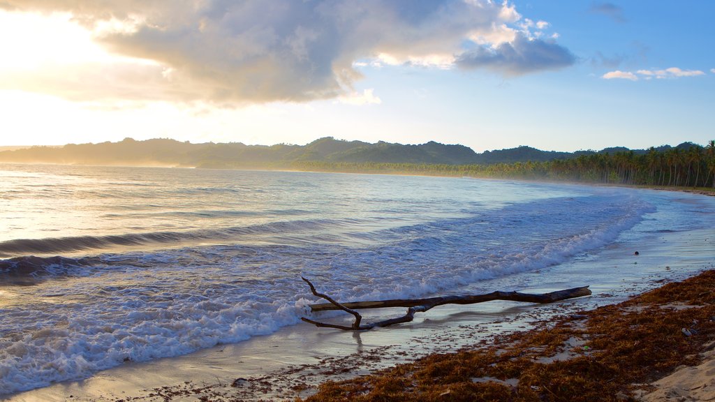 Rincon Beach which includes general coastal views