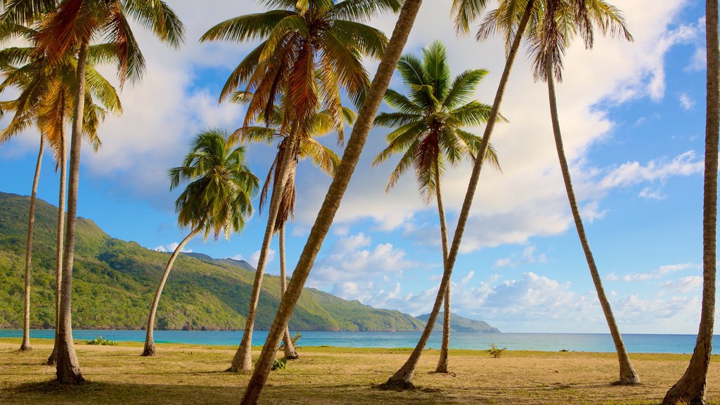 Playa Rincon fasiliteter samt kyst og tropisk landskap