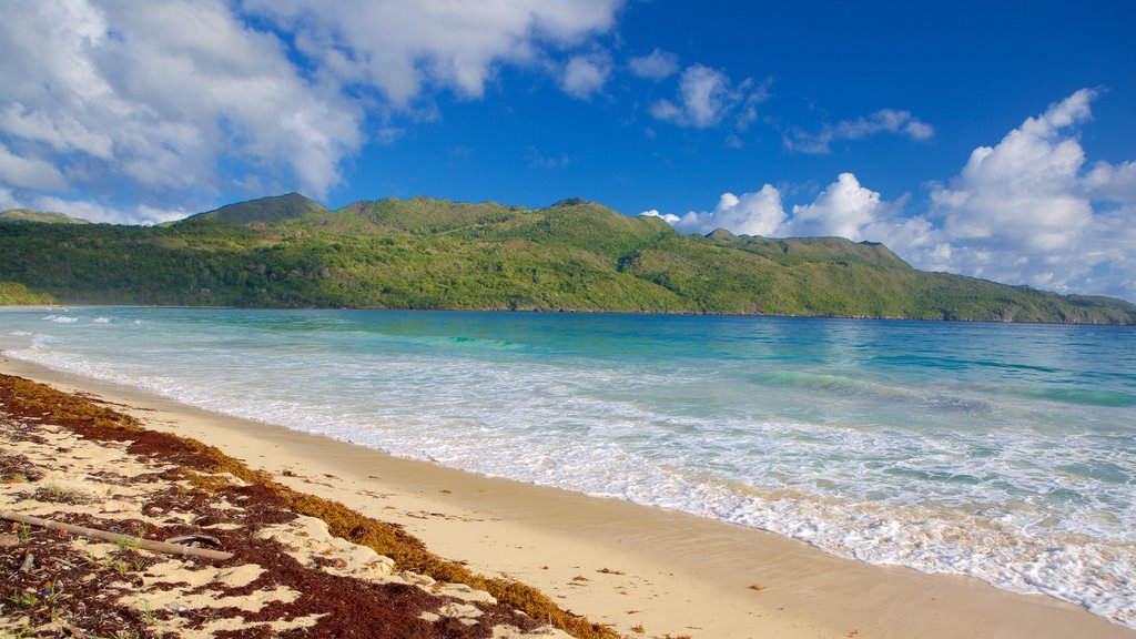 Rincon Beach which includes a beach