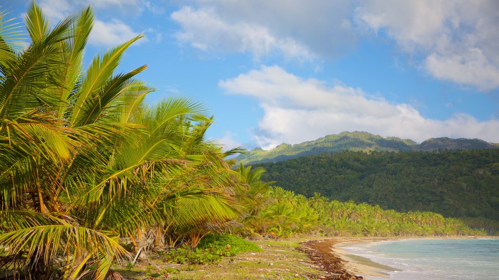 Playa Rincon which includes general coastal views