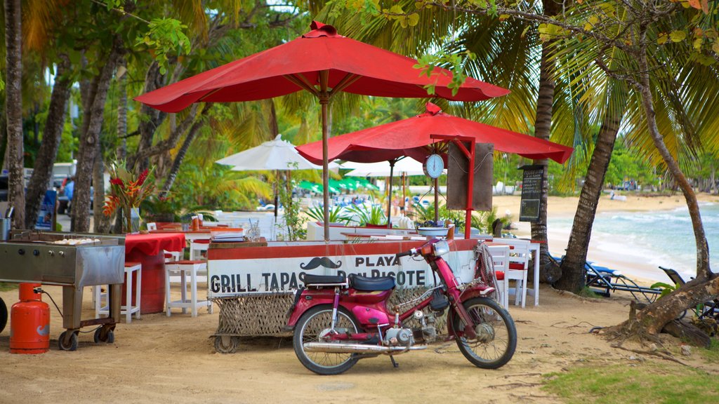 Las Terrenas caracterizando paisagens litorâneas