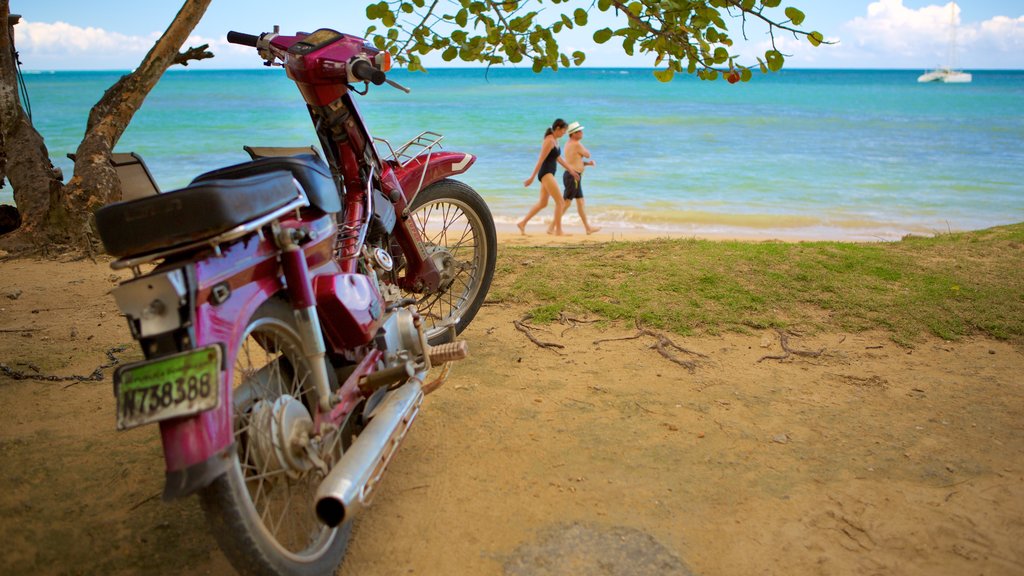 Las Terrenas showing general coastal views